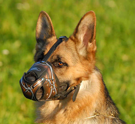 German Shepherd Art Leather Dog Muzzle Wire - Click Image to Close