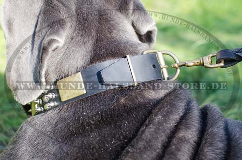 Halsband Leder Für Mastino mit Wunderschönem Stil & Qualität - zum Schließen ins Bild klicken