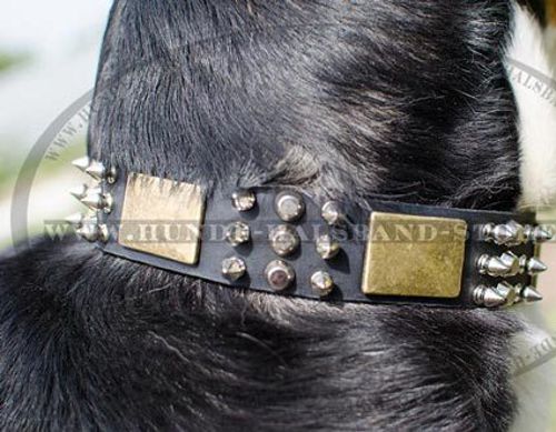Lederhalsband mit 3 Arten vom Schmuck für Schweizer Sennenhund - zum Schließen ins Bild klicken
