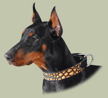 Handpainted dog collar for Doberman - Click Image to Close
