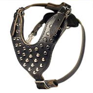 New Studded Walking Dog Leather Harness with Pyramids