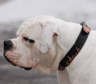 Handpainted Red Flame dog collar for Bulldog